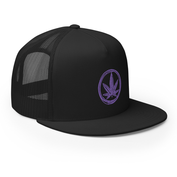 Cannapbell Purple Cap