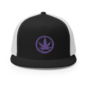 Cannapbell Purple Cap
