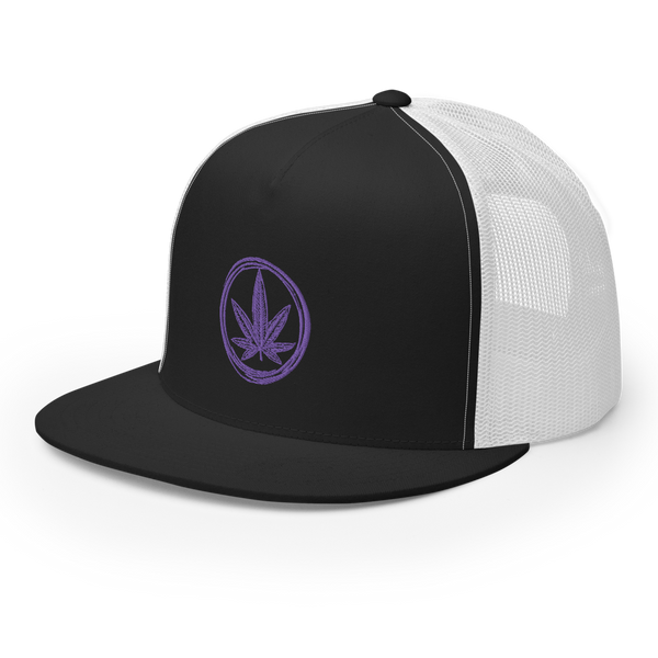 Cannapbell Purple Cap