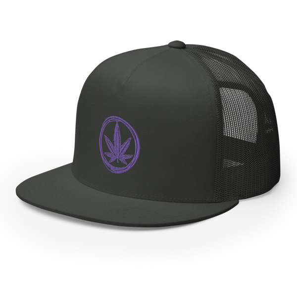 Cannapbell Purple Cap