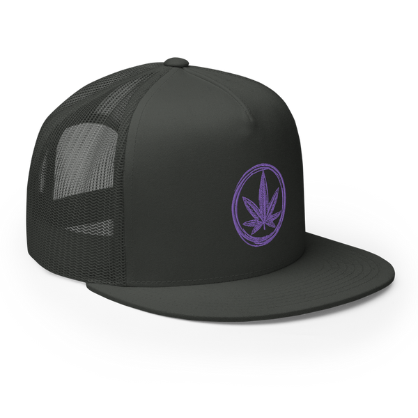 Cannapbell Purple Cap
