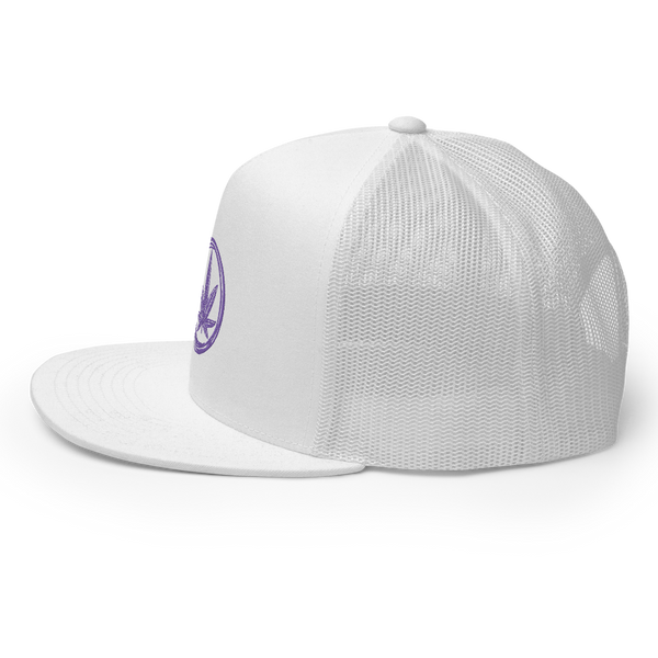 Cannapbell Purple Cap